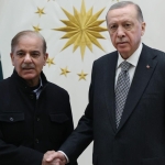 Cumhurbaşkanı Erdoğan Pakistan Başbakanı Şahbaz Şerif ile görüştü