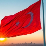 MİT Türk bayrağına zarar verenleri yakalamaya devam ediyor